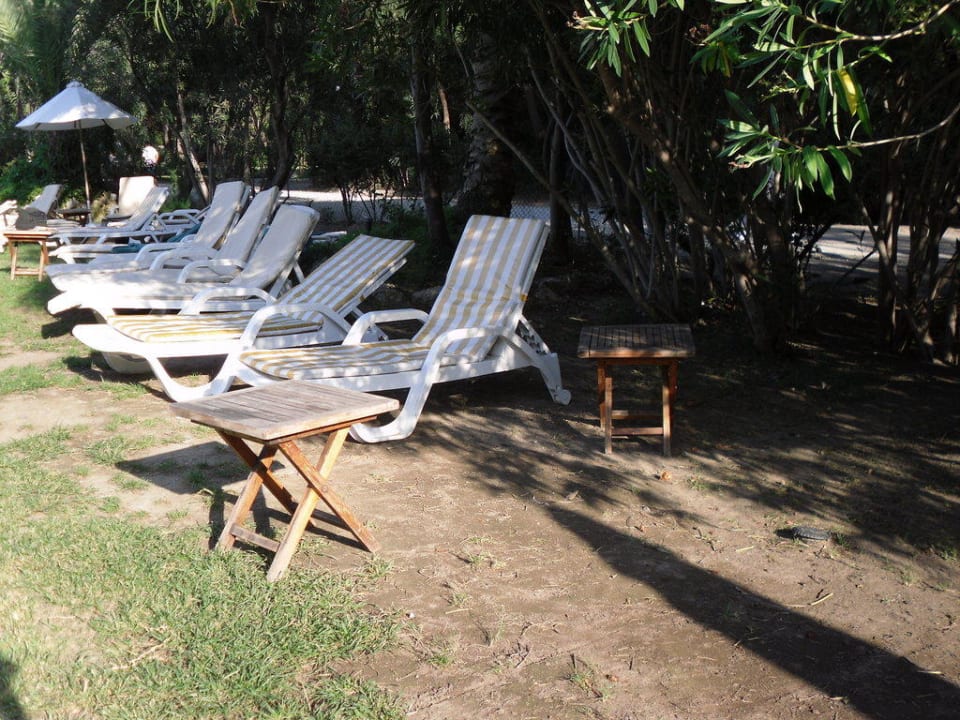 Ungepflegter Garten ML Sarigerme TUI MAGIC LIFE Sarigerme