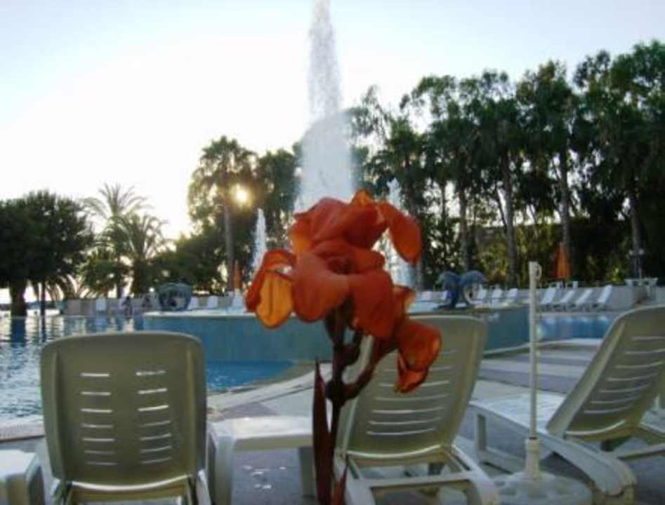 Lichtspiele Top Hotel