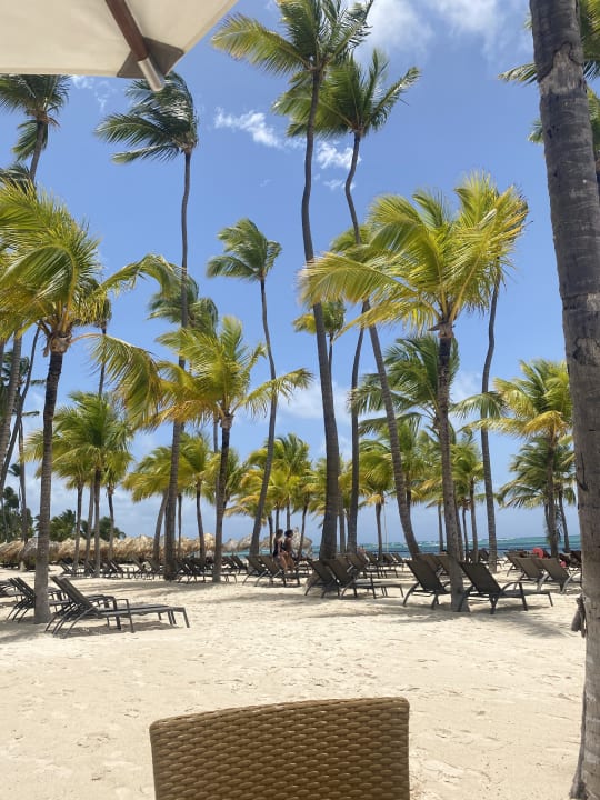 Strand Dreams Royal Beach Punta Cana