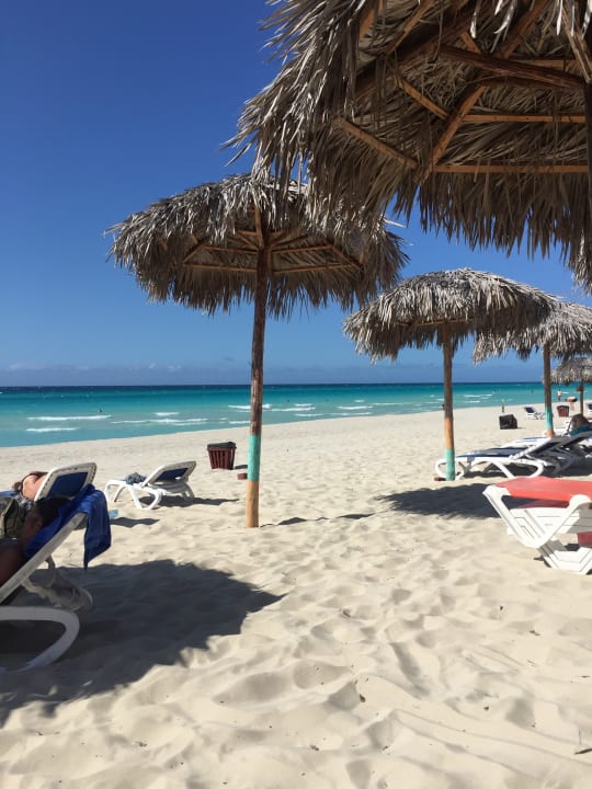 Strand Starfish Cuatro Palmas