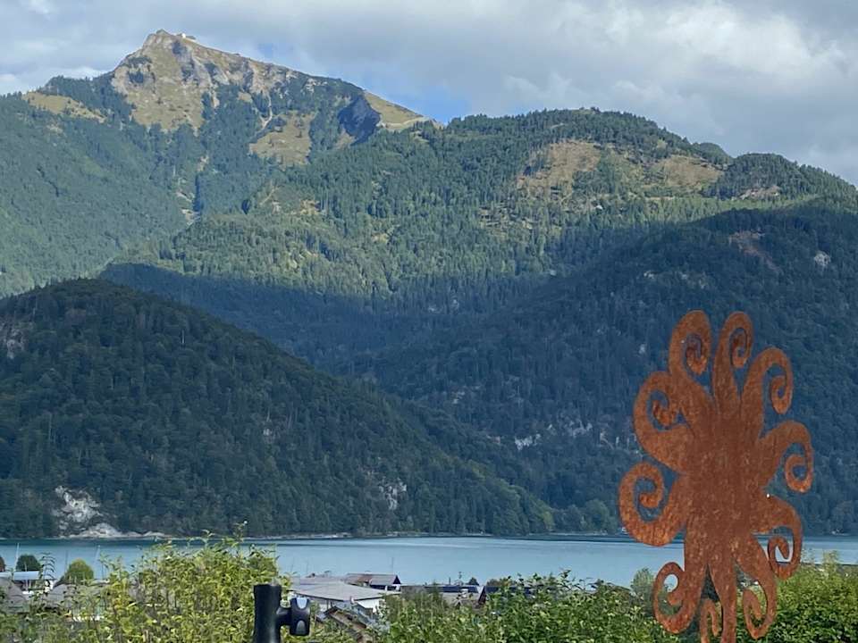 Gartenanlage Hotel Hollweger