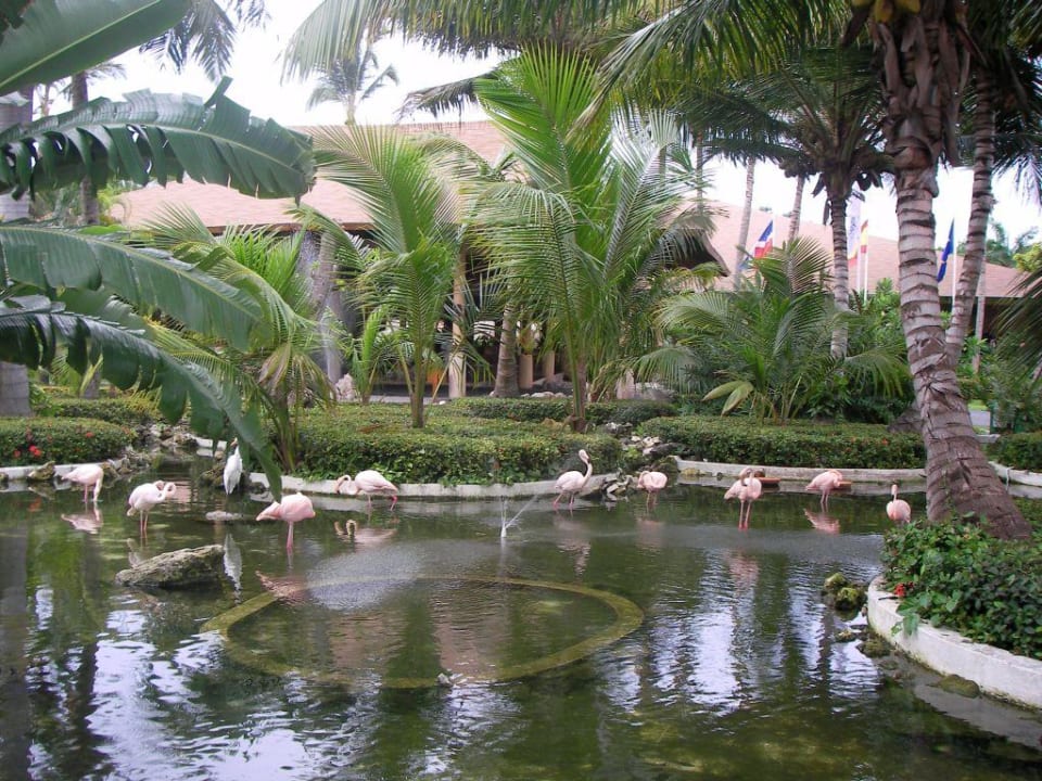 Vor dem Hotel Hotel Grand Palladium Palace Resort, Spa & Casino