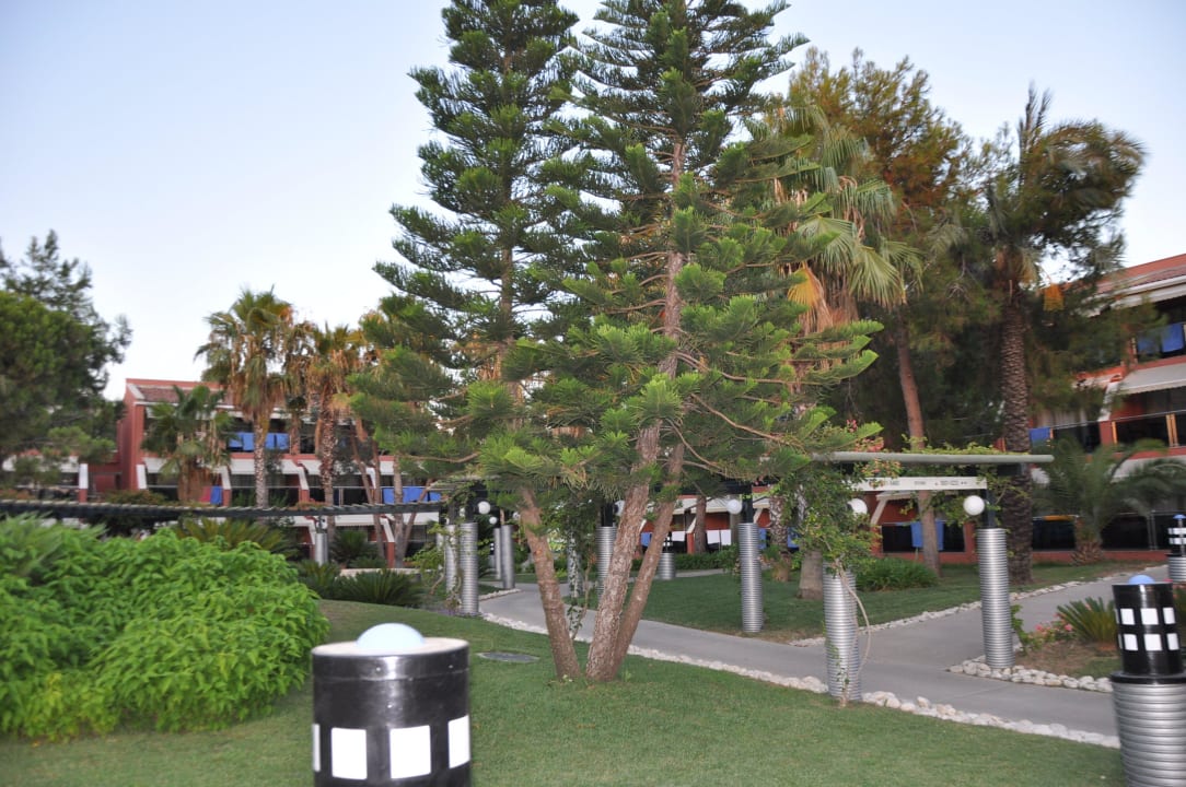 Ogród AQI Pegasos World