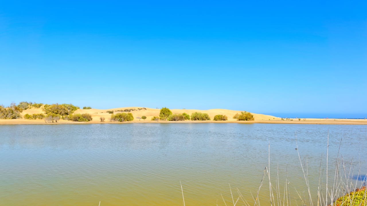 AUSSICHT-7 Cocoteros Apartments