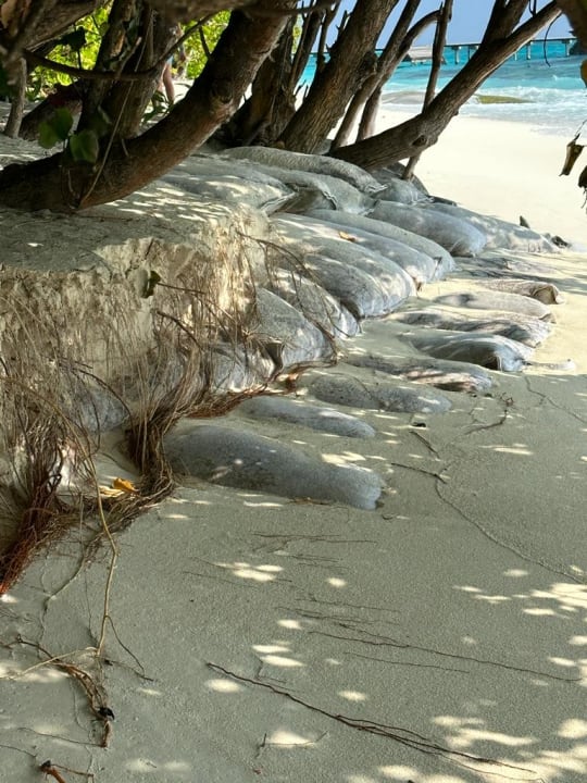 Strand NH Collection Maldives Reethi Resort