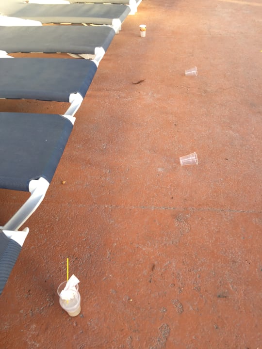 Sonstiges Alcudia Garden Aparthotel