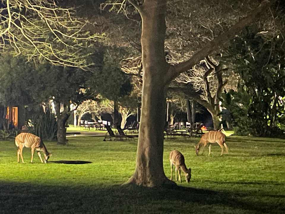 Gartenanlage Falaza Game Park & Spa