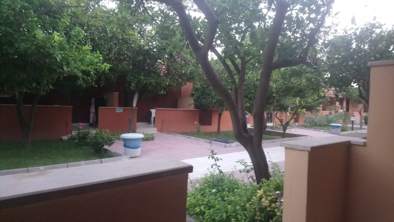 Zimmer Özlem Garden Hotel