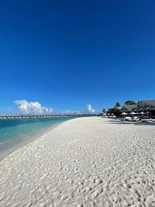 Strand The Standard Maldives