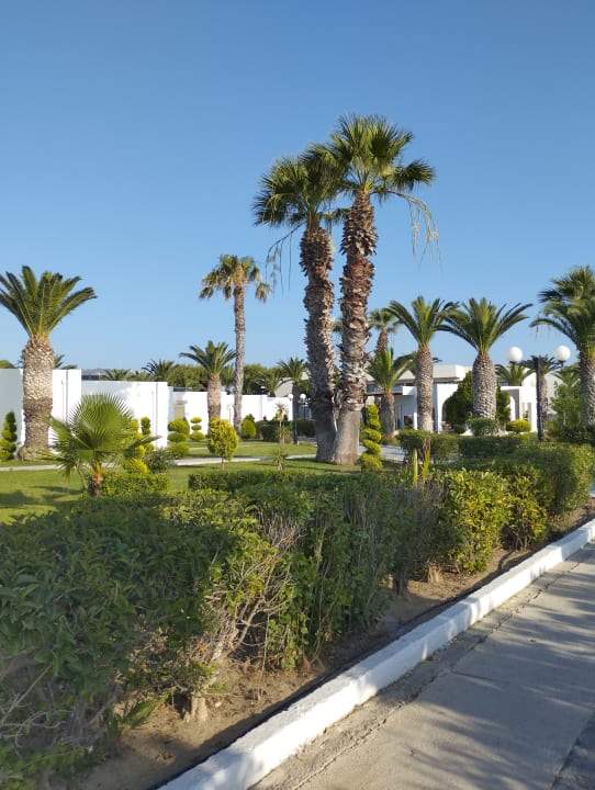 Gartenanlage Smy Kos Beach & Splash