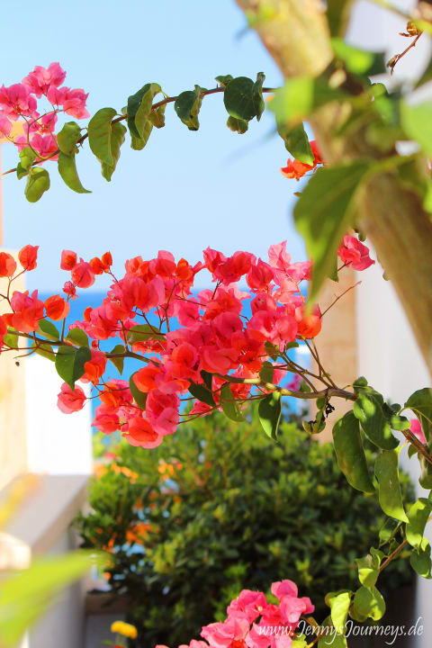 Gartenanlage Atrium Prestige Thalasso Spa Resort & Villas
