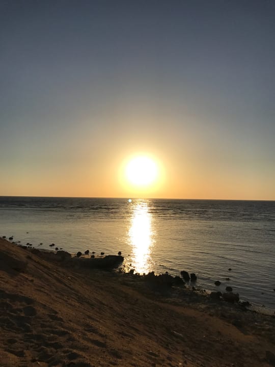 Ausblick TUI MAGIC LIFE Kalawy
