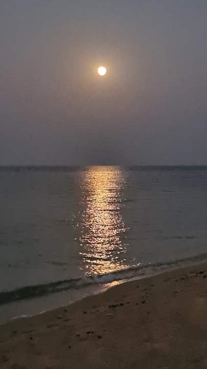 Strand Coral Sun Beach