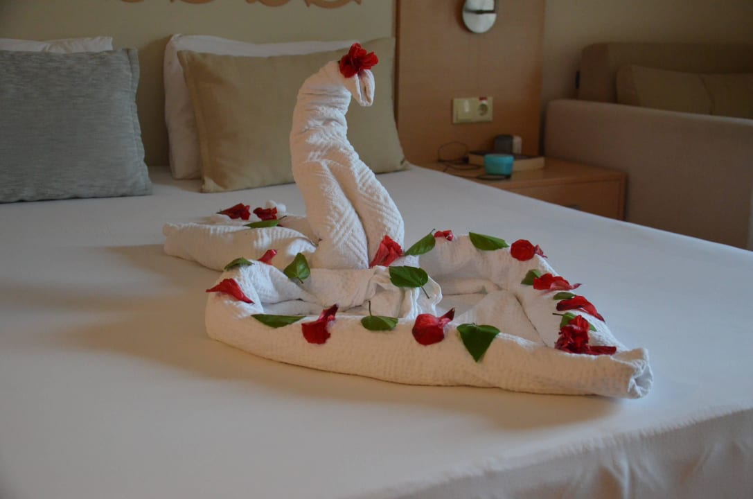 Niespodzianka Solivia Hotel