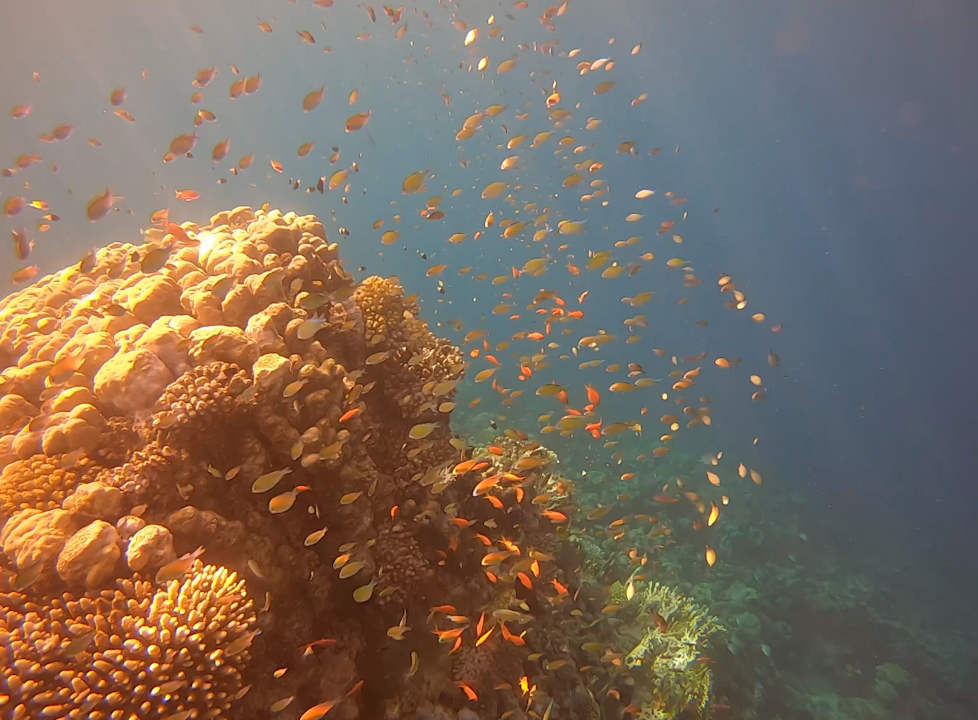 Sonstiges Coral Hills Resorts & SPA