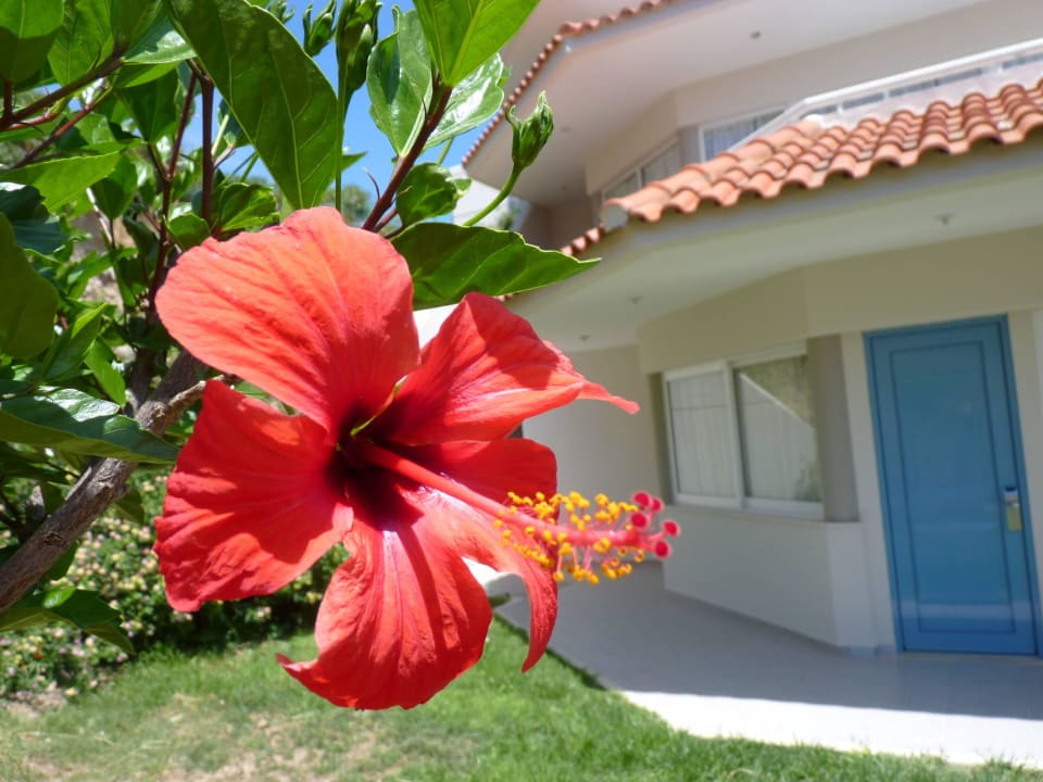 Vor unserem Zimmer Rodos Princess Beach Hotel & Spa