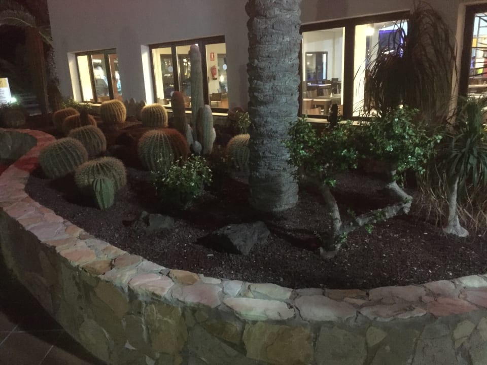 Gartenanlage TUI MAGIC LIFE Fuerteventura