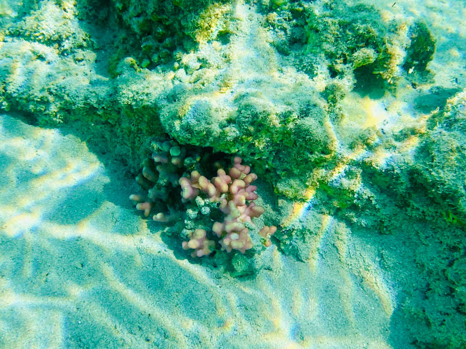 Strand Pickalbatros Villaggio Resort - Portofino