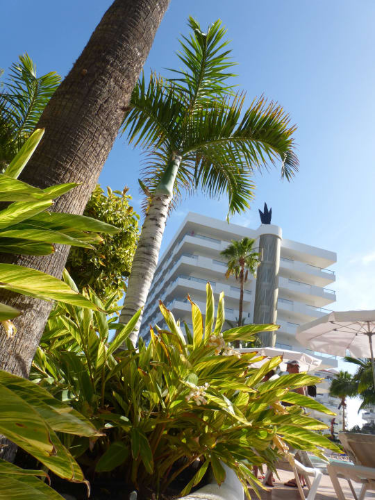 Blick vom Pool Gran Canaria Princess