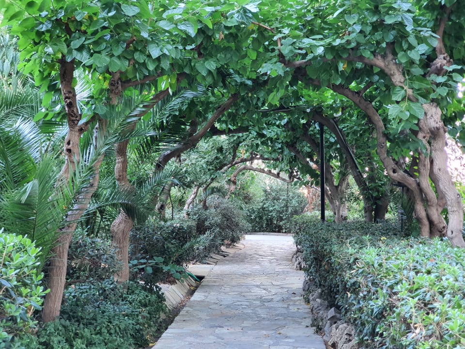 Gartenanlage Apollonia Beach Resort & Spa