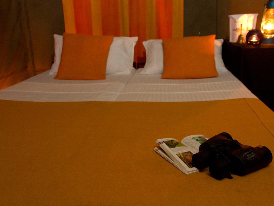 Tent interior view Mahoora Tented Safari Camp - Wilpattu