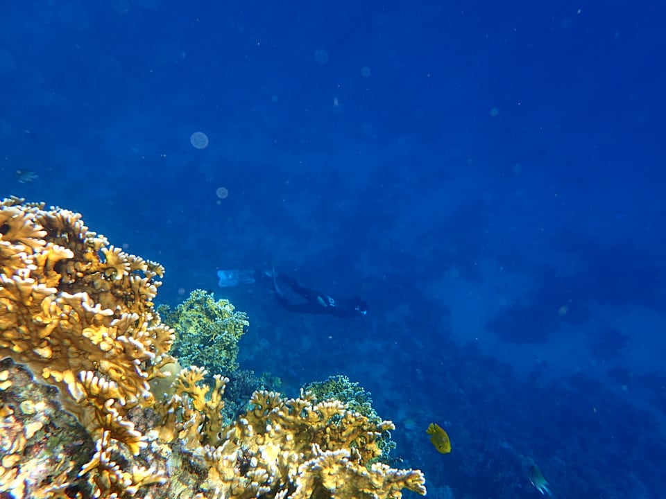 Sport & Freizeit Malikia Resort Abu Dabbab