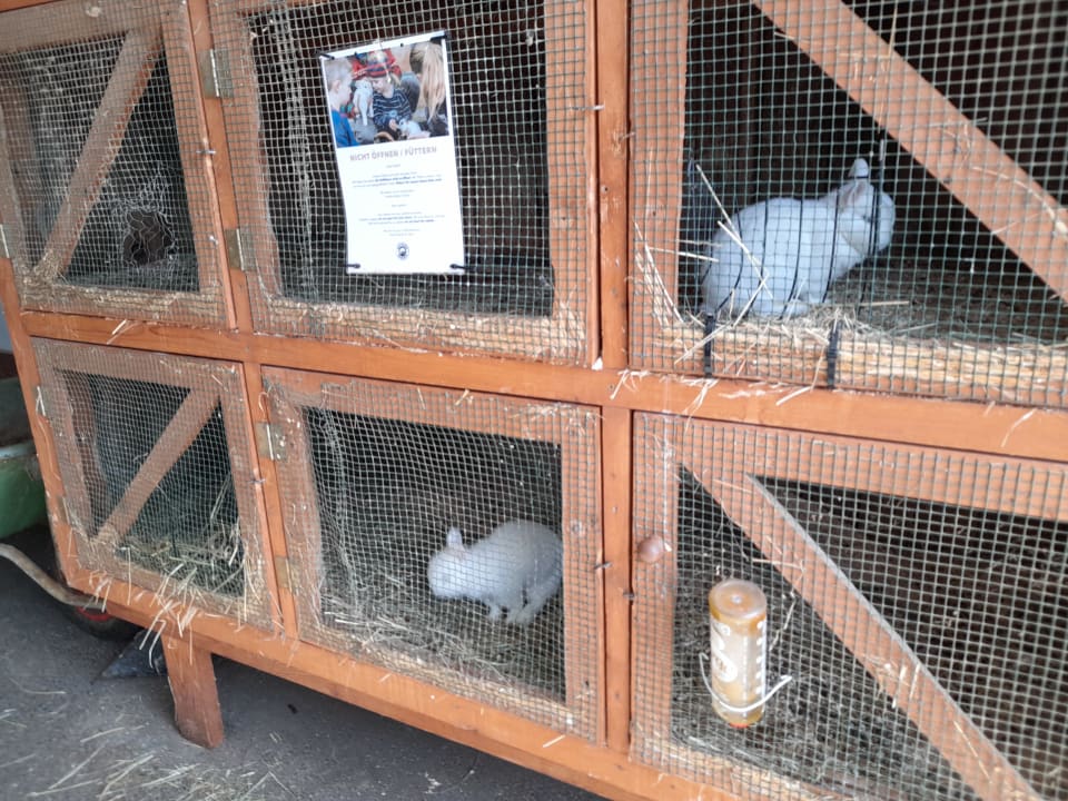 Sport & Freizeit Hotel Reiters Supreme