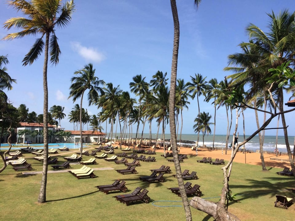 Blick vom Zimmer 207 Club Hotel Dolphin