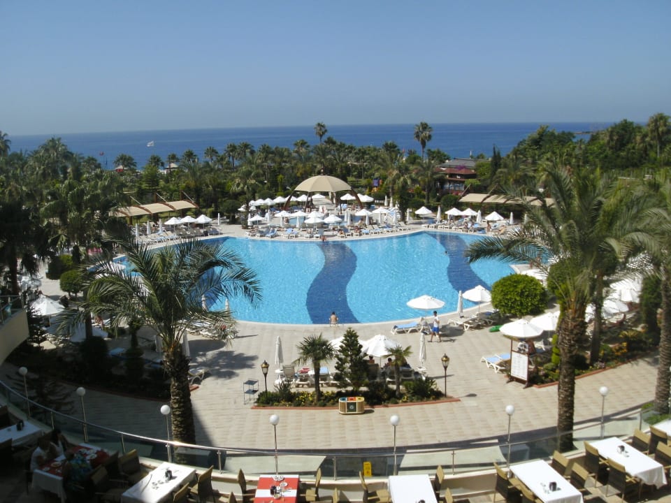 Ausblick von der Terrasse auf den Pool Saphir Resort & Spa