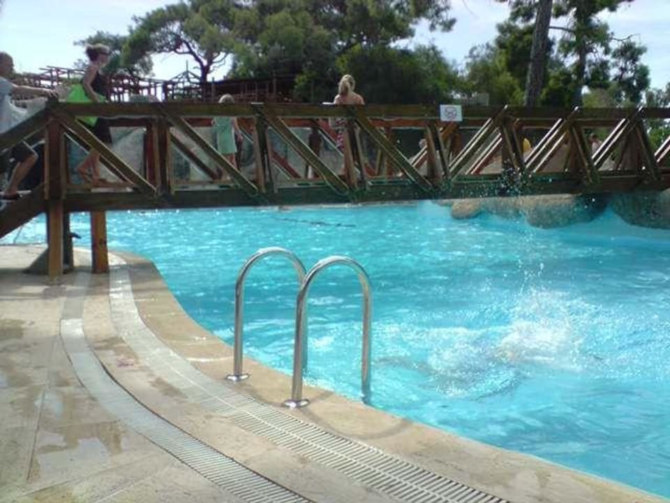 Super Pool Blue Waters Club