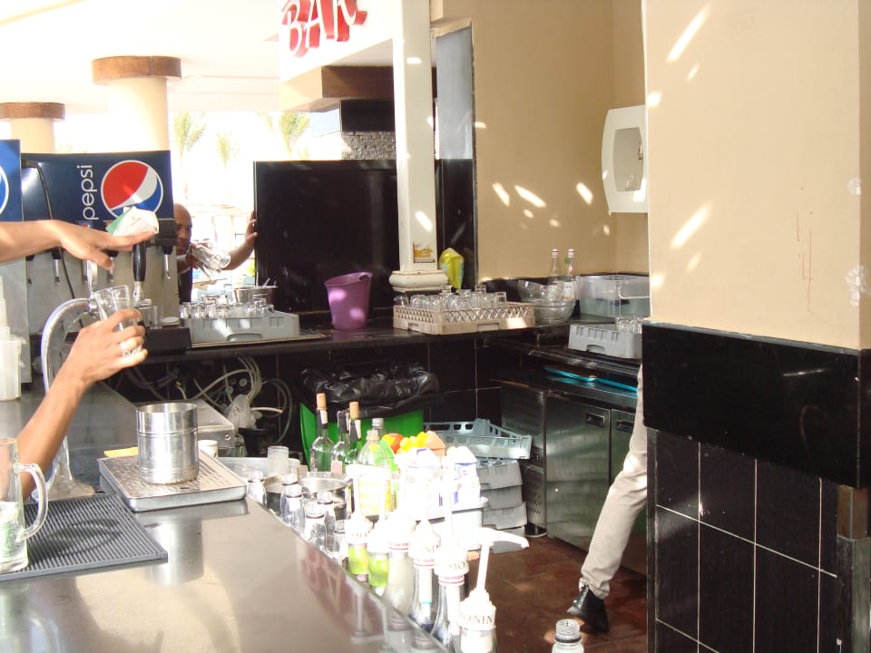 Gastro Beach Albatros Resort