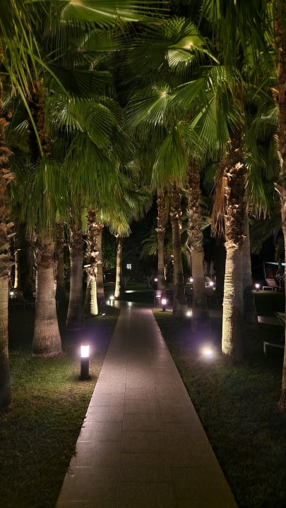Gartenanlage Hotel Miramare Beach