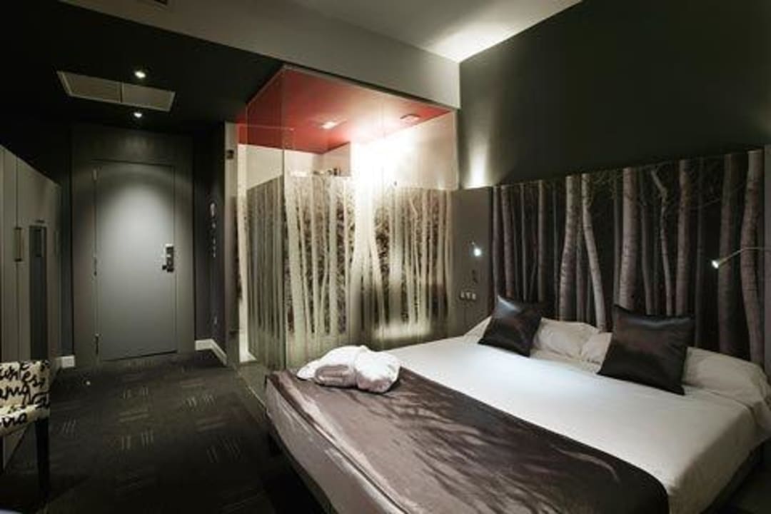 Habitación Hotel Petit Palace Art Gallery