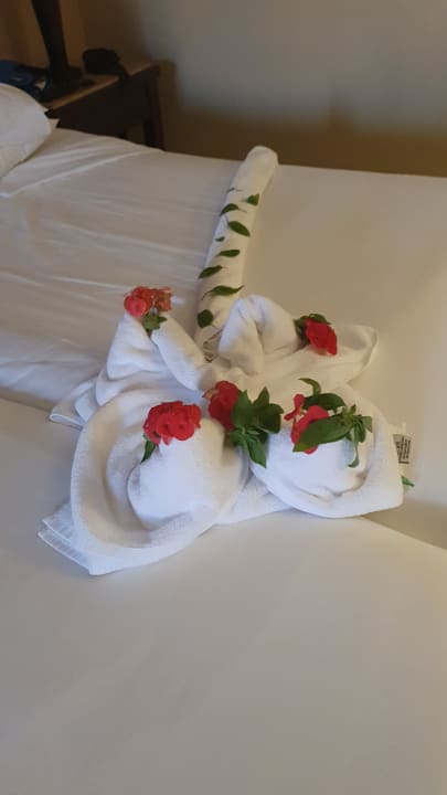 Zimmer Jaz Dar EL Madina