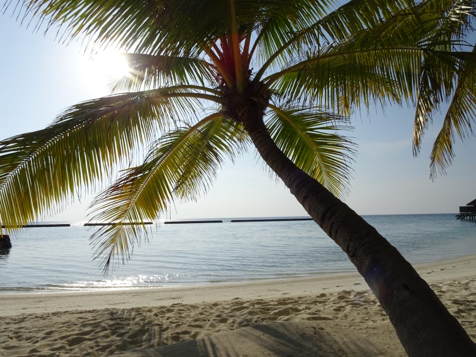 Strand Veligandu Maldives Resort Island