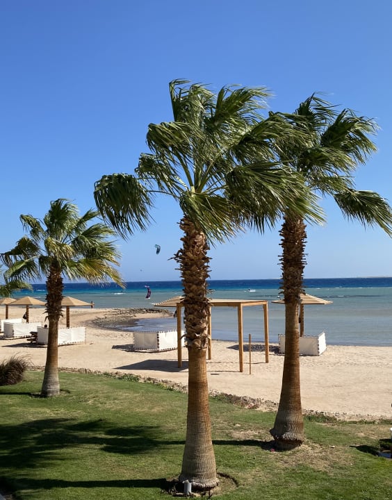Gartenanlage Shams Safaga Resort