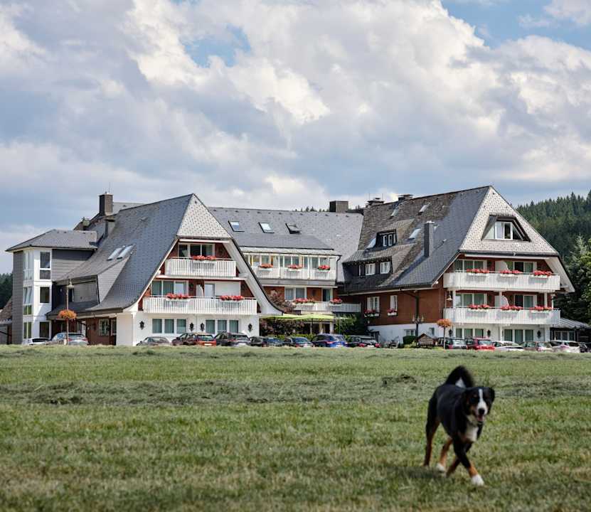 Außenansicht Hotel Reppert