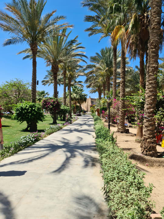 Gartenanlage Brayka Bay Resort