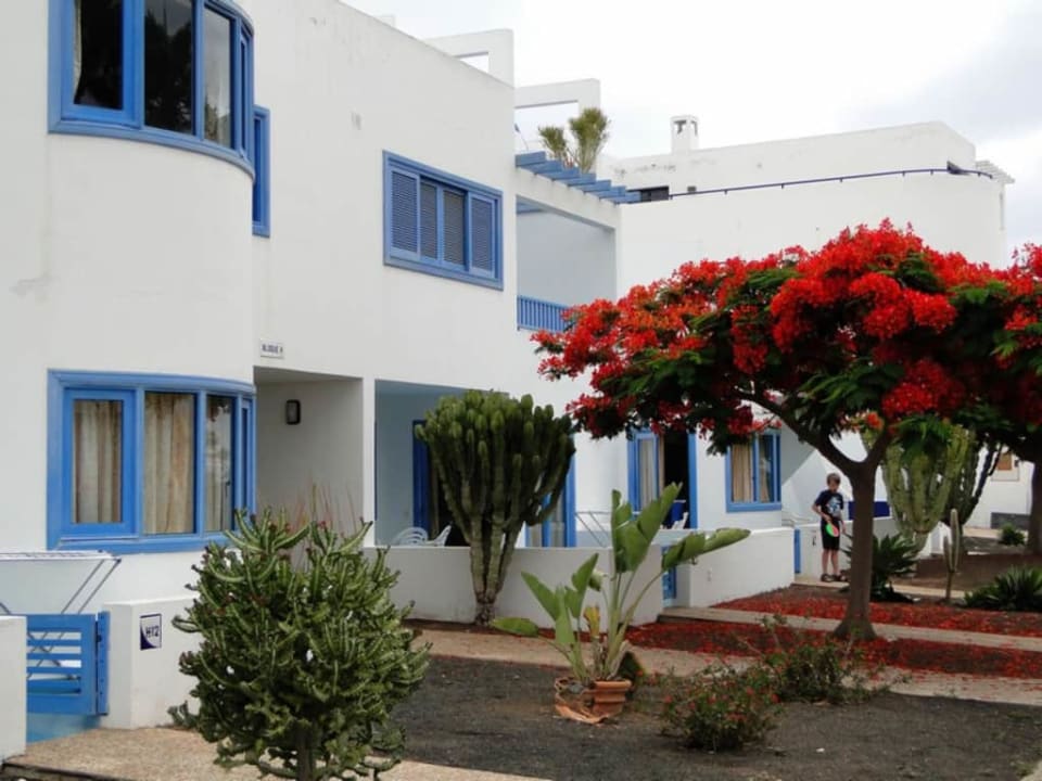 Fragment kompleksu apartamentów Aparthotel Costa Mar