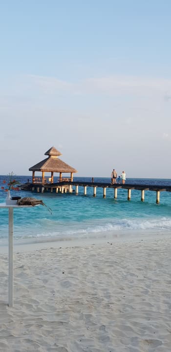 Außenansicht NH Collection Maldives Reethi Resort