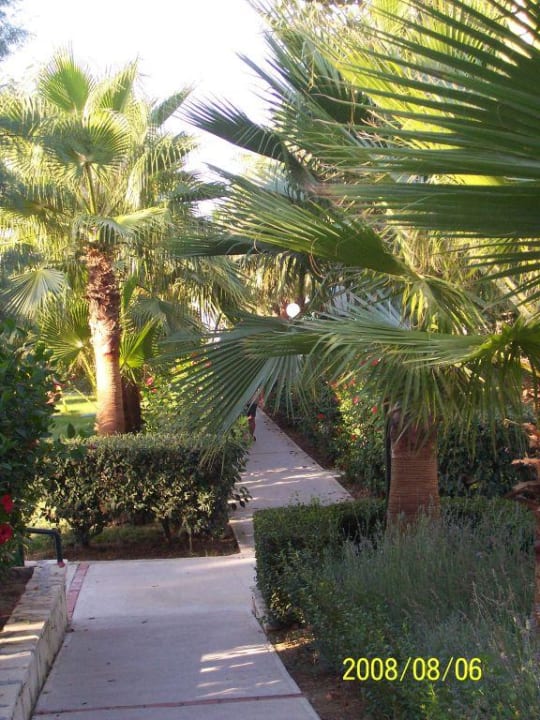 Gartenweg zum Strand Hotel Miramare Beach