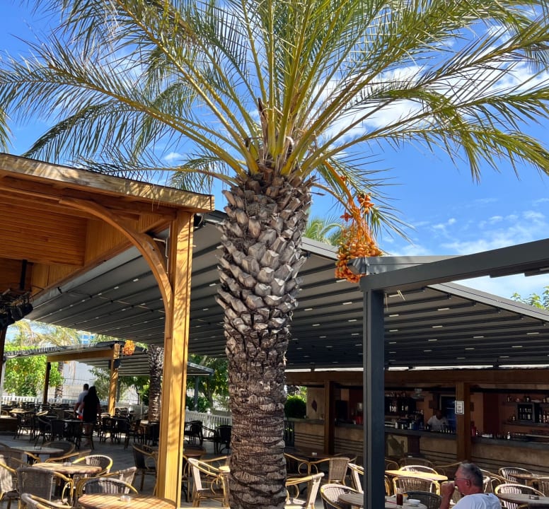 Gastro Royal Wings Hotel