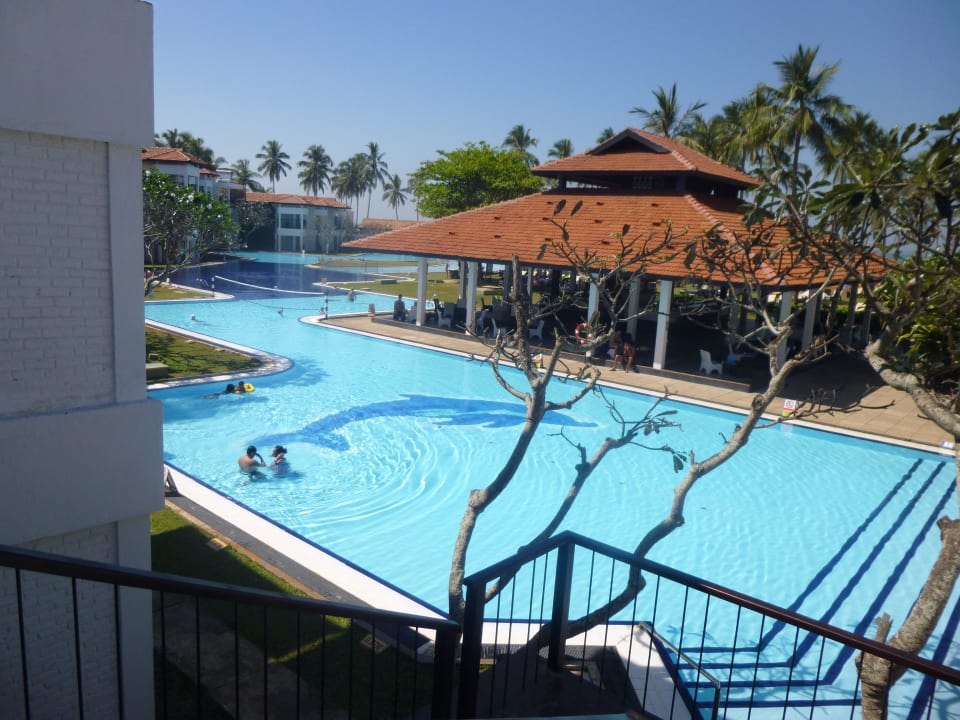 Teil des Pools Club Hotel Dolphin