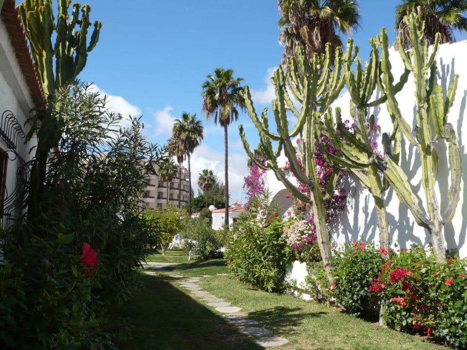 Gartenanlage HL Miraflor Suites Hotel