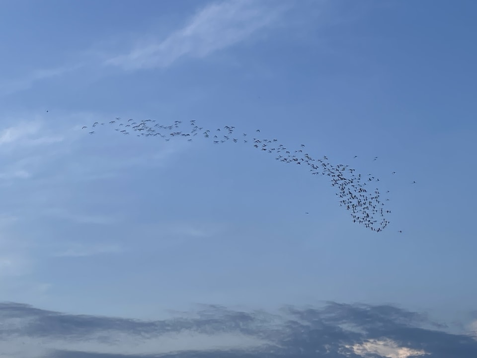 Ausblick Istion Club & Spa