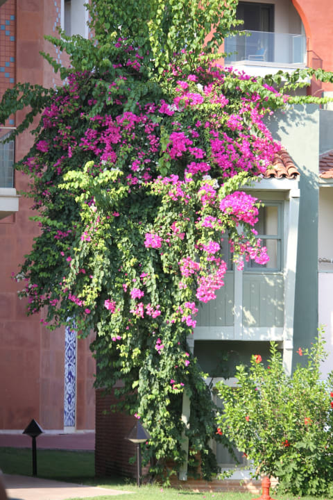 Gartenanlage Megasaray Club Belek