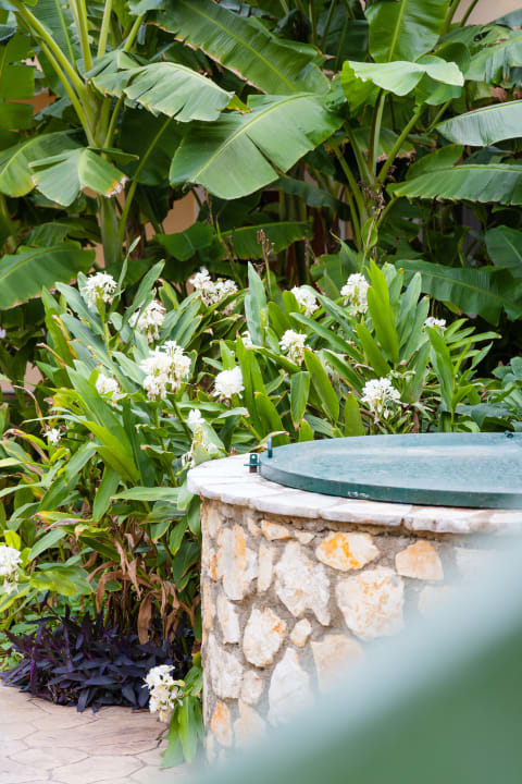 Gartenanlage St. George's Bay Country Club