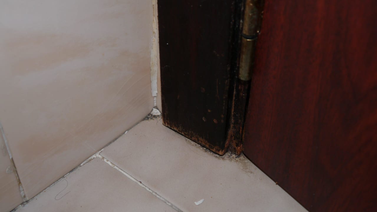 Bad Hotel Luxor