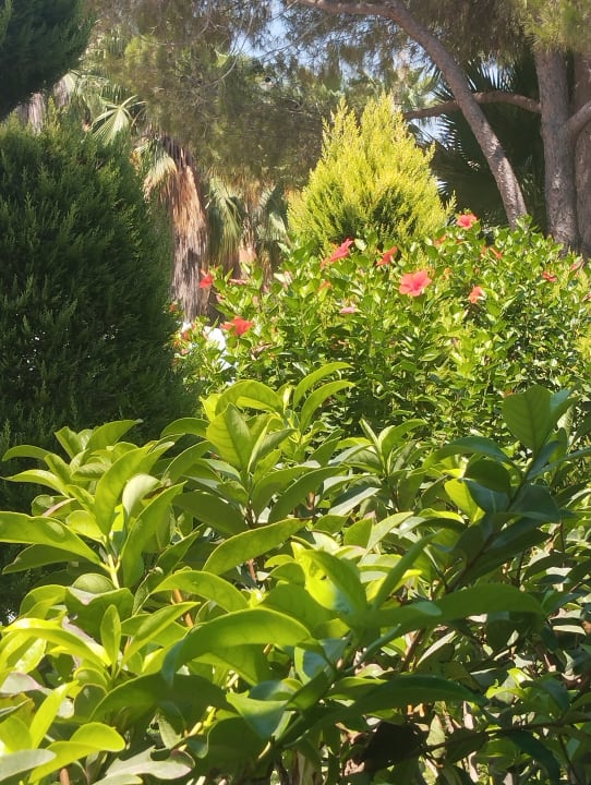 Gartenanlage VONRESORT Golden Beach