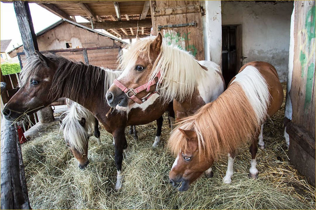 Rundgang per FotoShooting Sommer 2015 Hotel Reiterhof Altmühlsee
